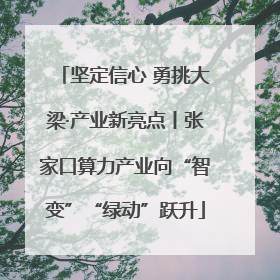 坚定信心 勇挑大梁·产业新亮点丨张家口算力产业向“智变”“绿动”跃升
