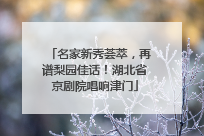 名家新秀荟萃，再谱梨园佳话！湖北省京剧院唱响津门