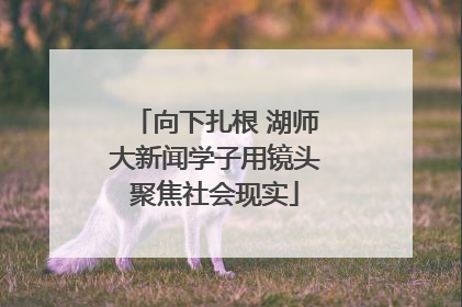 向下扎根 湖师大新闻学子用镜头聚焦社会现实