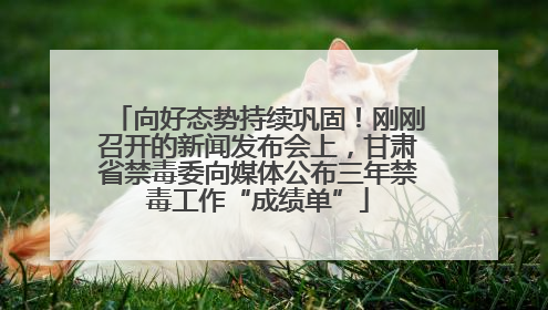 向好态势持续巩固！刚刚召开的新闻发布会上，甘肃省禁毒委向媒体公布三年禁毒工作“成绩单”