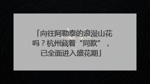 向往阿勒泰的浪漫山花吗？杭州藏着“同款”，已全面进入盛花期