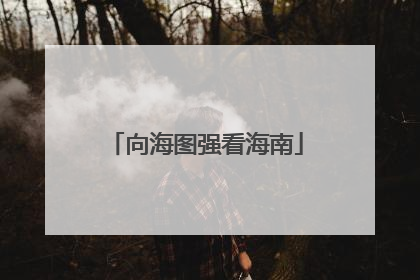 向海图强看海南