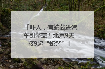 吓人，有蛇藏进汽车引擎盖！北京9天接9起“蛇警”