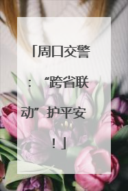 周口交警：“跨省联动”护平安！