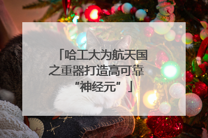 哈工大为航天国之重器打造高可靠“神经元”
