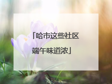哈市这些社区端午味道浓