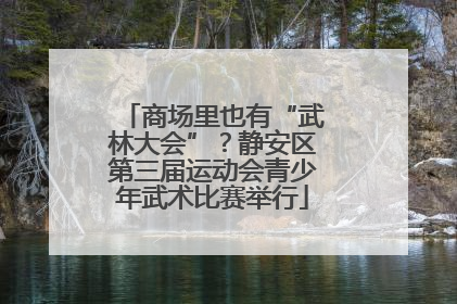 商场里也有“武林大会”？静安区第三届运动会青少年武术比赛举行