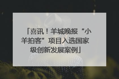 喜讯！羊城晚报“小羊拍客”项目入选国家级创新发展案例