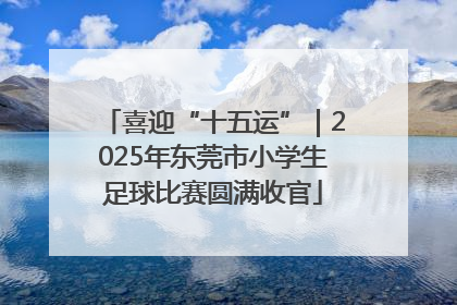 喜迎“十五运”｜2025年东莞市小学生足球比赛圆满收官