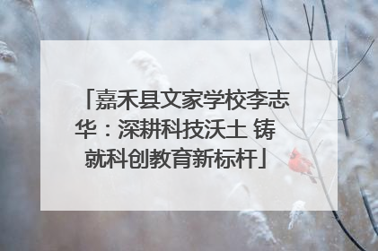 嘉禾县文家学校李志华：深耕科技沃土 铸就科创教育新标杆