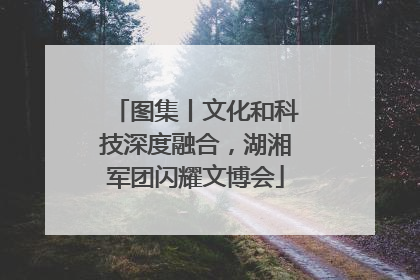 图集丨文化和科技深度融合，湖湘军团闪耀文博会