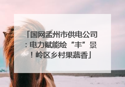 国网孟州市供电公司：电力赋能绘“丰”景！岭区乡村果蔬香