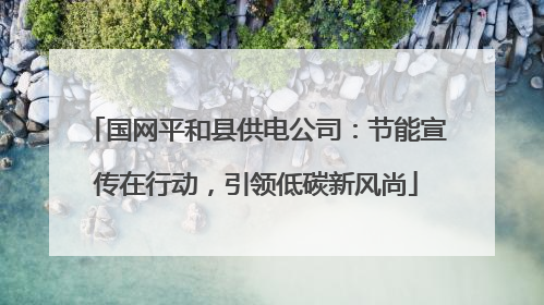 国网平和县供电公司：节能宣传在行动，引领低碳新风尚