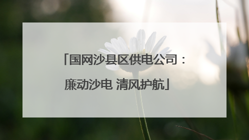 国网沙县区供电公司：廉动沙电 清风护航