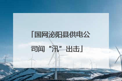 国网泌阳县供电公司闻“汛”出击