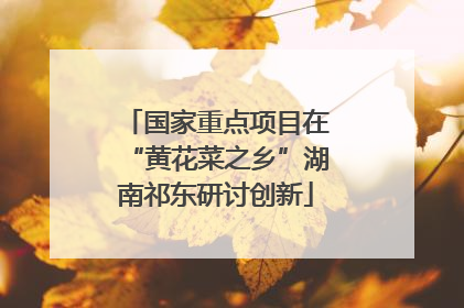 国家重点项目在“黄花菜之乡”湖南祁东研讨创新
