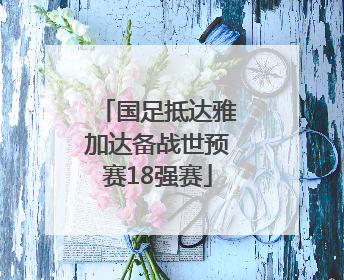 国足抵达雅加达备战世预赛18强赛
