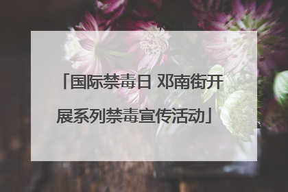 国际禁毒日 邓南街开展系列禁毒宣传活动