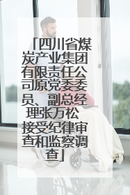 四川省煤炭产业集团有限责任公司原党委委员、副总经理张万松 接受纪律审查和监察调查