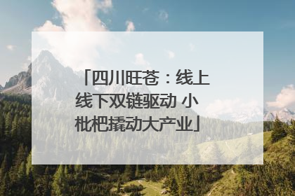 四川旺苍：线上线下双链驱动 小枇杷撬动大产业