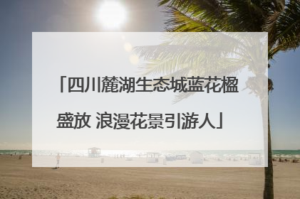 四川麓湖生态城蓝花楹盛放 浪漫花景引游人