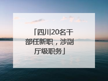 四川20名干部任新职，涉副厅级职务