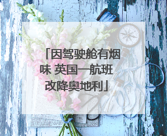 因驾驶舱有烟味 英国一航班改降奥地利