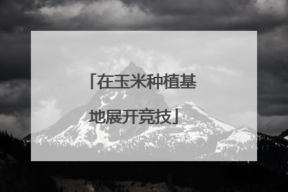 在玉米种植基地展开竞技