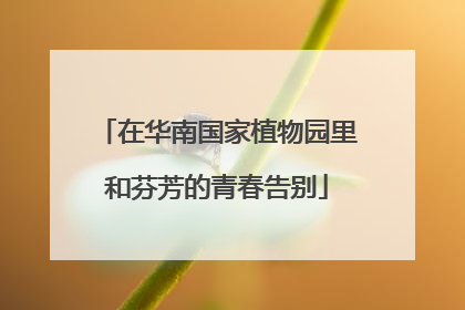 在华南国家植物园里和芬芳的青春告别