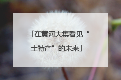 在黄河大集看见“土特产”的未来
