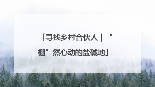 寻找乡村合伙人｜“棚”然心动的盐碱地