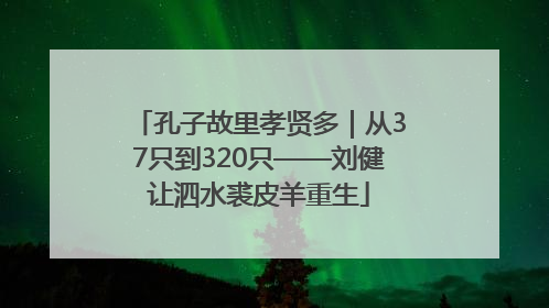 孔子故里孝贤多｜从37只到320只——刘健让泗水裘皮羊重生
