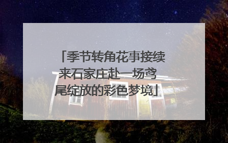 季节转角花事接续 来石家庄赴一场鸢尾绽放的彩色梦境
