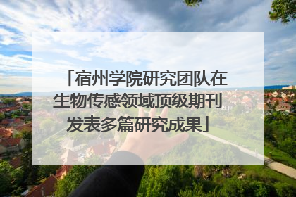 宿州学院研究团队在生物传感领域顶级期刊发表多篇研究成果
