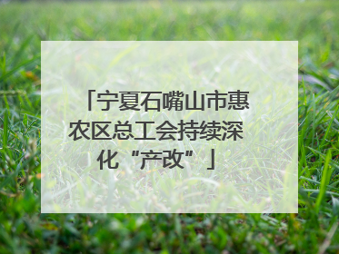 宁夏石嘴山市惠农区总工会持续深化“产改”