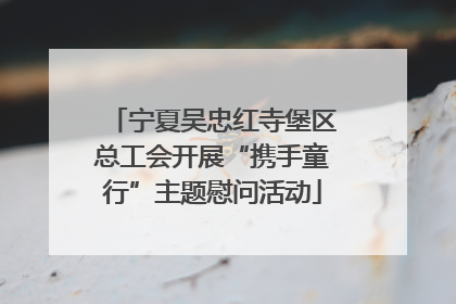 宁夏吴忠红寺堡区总工会开展“携手童行”主题慰问活动