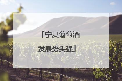 宁夏葡萄酒发展势头强