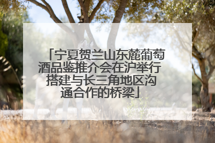 宁夏贺兰山东麓葡萄酒品鉴推介会在沪举行 搭建与长三角地区沟通合作的桥梁