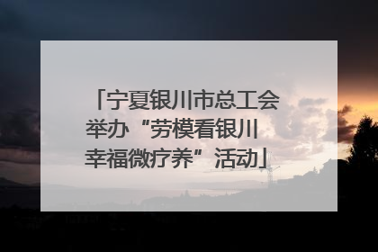 宁夏银川市总工会举办“劳模看银川 幸福微疗养”活动