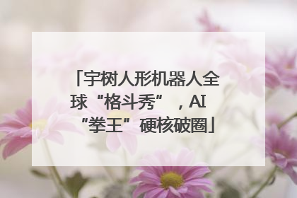 宇树人形机器人全球“格斗秀”，AI“拳王”硬核破圈