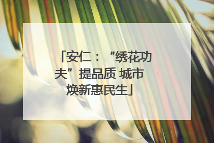 安仁：“绣花功夫”提品质 城市焕新惠民生