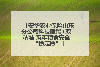 安华农业保险山东分公司科技赋能+双精准 筑牢粮食安全“稳定器”