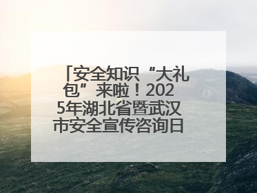 安全知识“大礼包”来啦！2025年湖北省暨武汉市安全宣传咨询日活动在汉举行