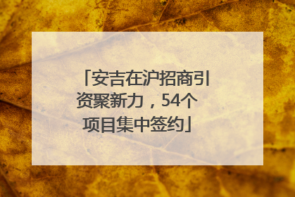 安吉在沪招商引资聚新力，54个项目集中签约