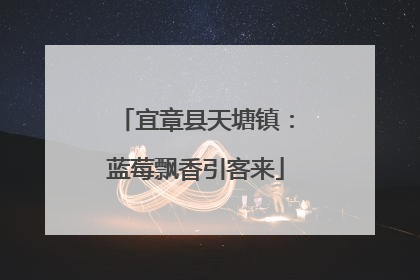 宜章县天塘镇：蓝莓飘香引客来