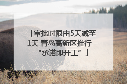 审批时限由5天减至1天 青岛高新区推行“承诺即开工”