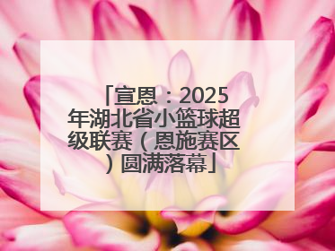 宣恩：2025年湖北省小篮球超级联赛（恩施赛区）圆满落幕