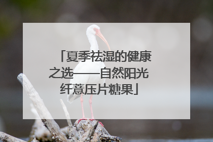 夏季祛湿的健康之选——自然阳光纤薏压片糖果