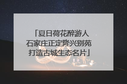 夏日荷花醉游人 石家庄正定隆兴别苑打造古城生态名片