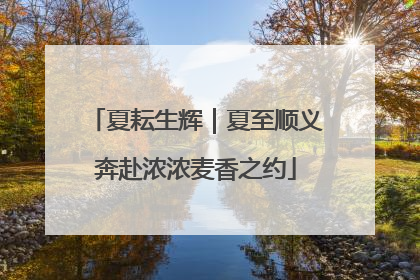 夏耘生辉｜夏至顺义奔赴浓浓麦香之约